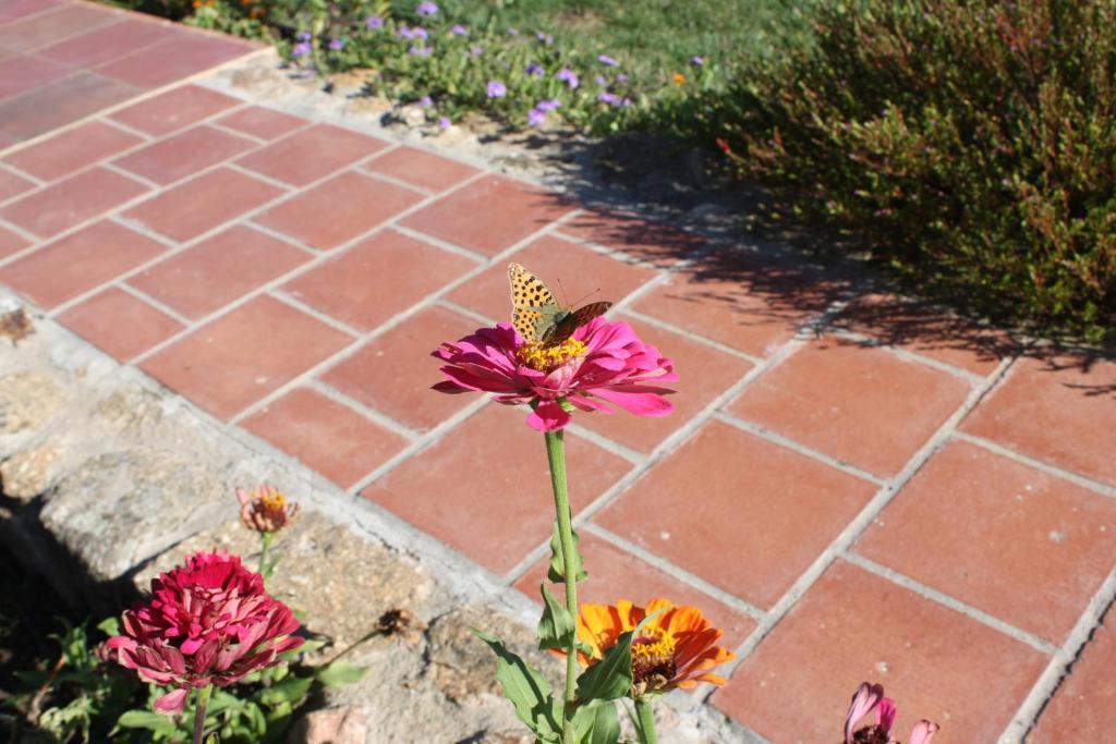 Apartamentos El Jardin Del Poeta Guijo de Granadilla 외부 사진